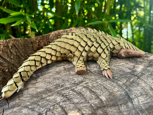 Pangolin