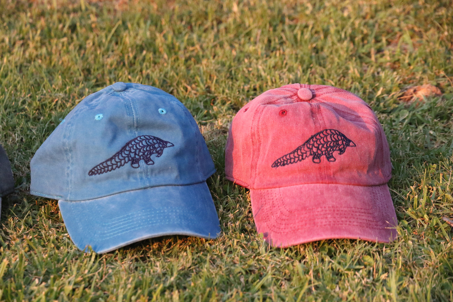 Pangolin Cap - Blue